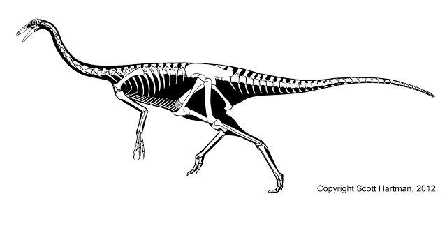 Deinocheirus - Therizinosaur or hadrosaur mimic?Dr. Scott Hartman's  Skeletal Drawing.com