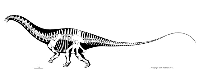 apatosaurus+louisae+updated+April+2013.jpg