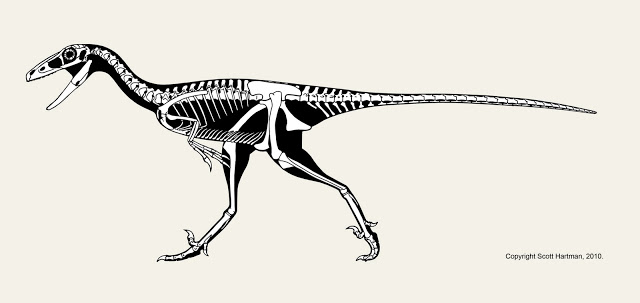 Troodon4blog.jpg