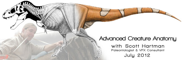 advancedCreature-Anatomy-header.jpg