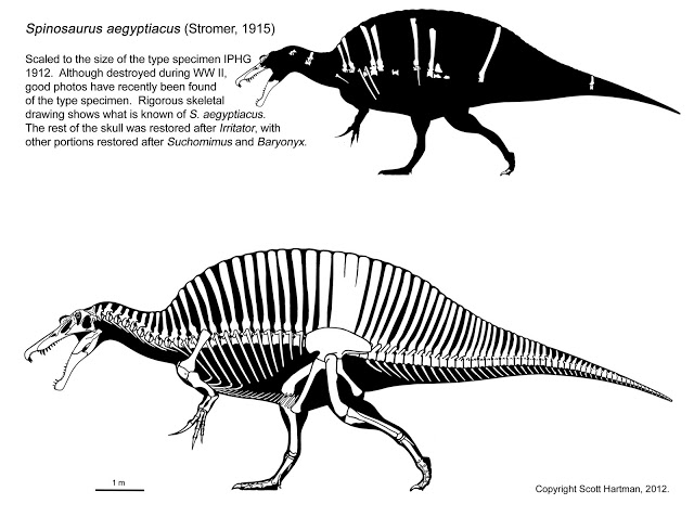 spinosaurus.jpg