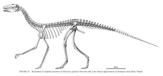 silesaurus_jvp.jpg