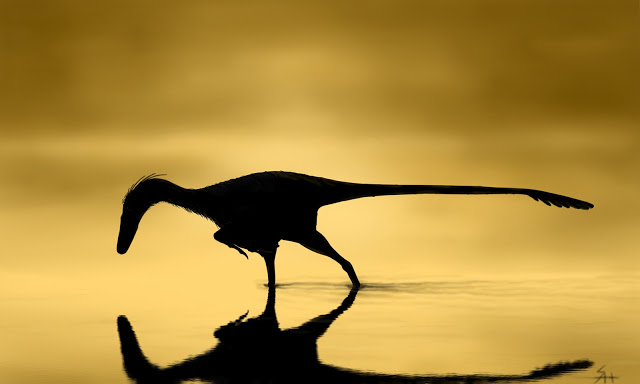 Unenlagia_fishing_at_dawn_web.jpg