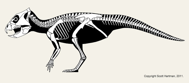 Archaeoceratops_neutral.jpg