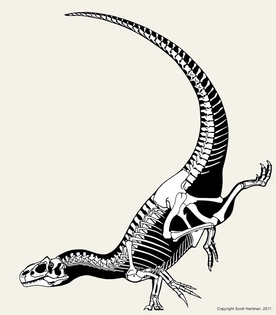 allosaurus_handstand.jpg