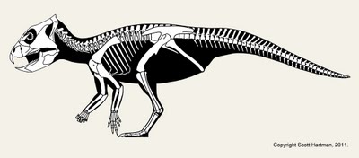 Archaeoceratops_neutral_arms.jpg