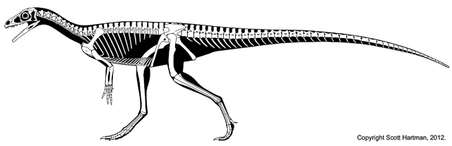 eoraptor_4_blog.png