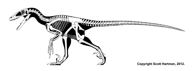 The Terrible Claw: Facts About Deinonychus