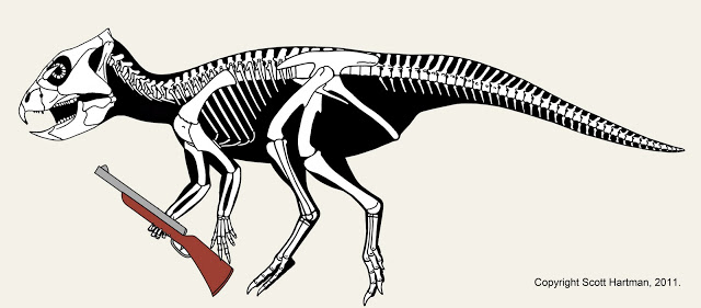 Archaeoceratops_Fudd.jpg