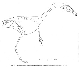 saurornithoides.jpg