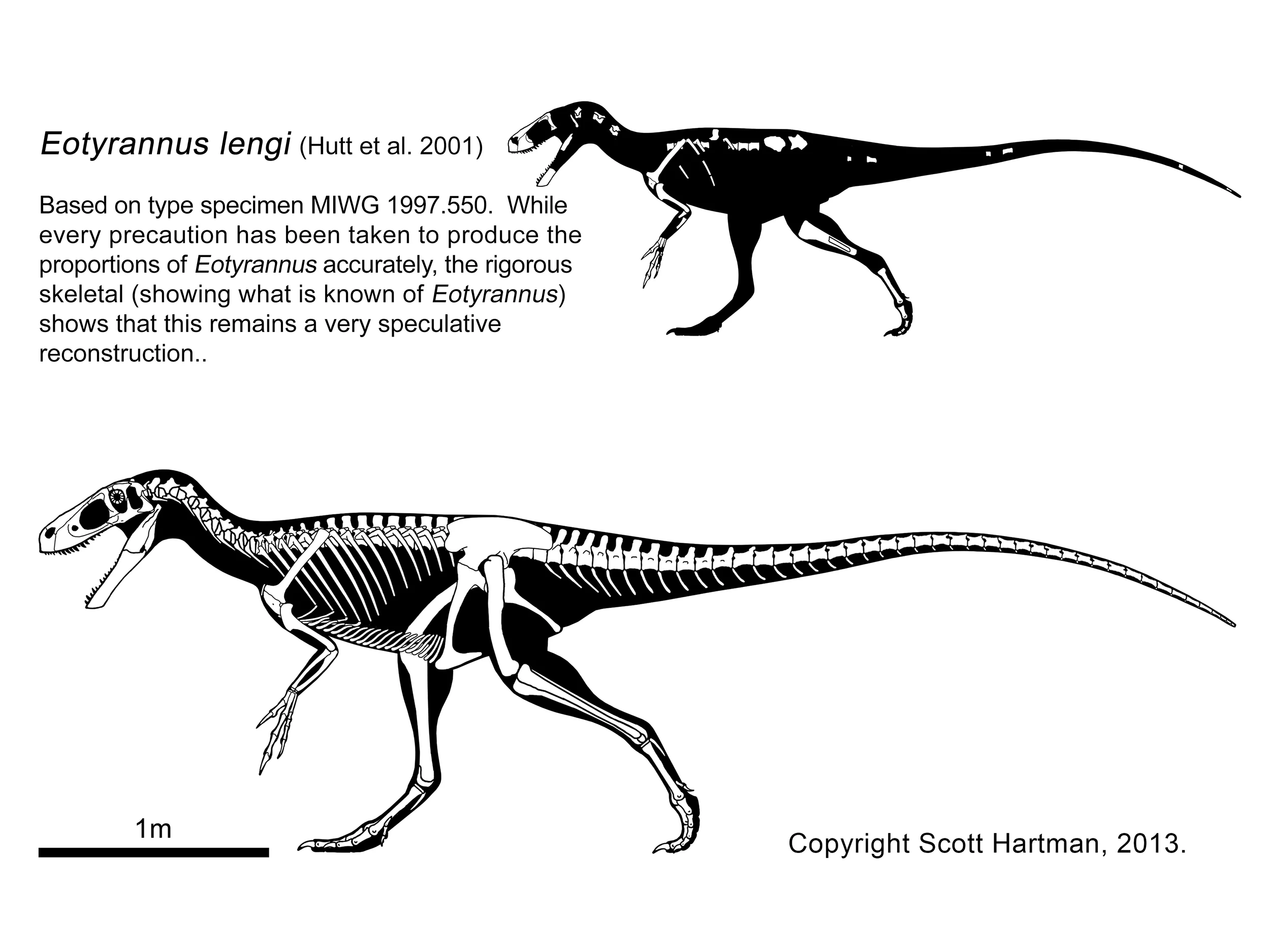 Eotyrannus.jpg