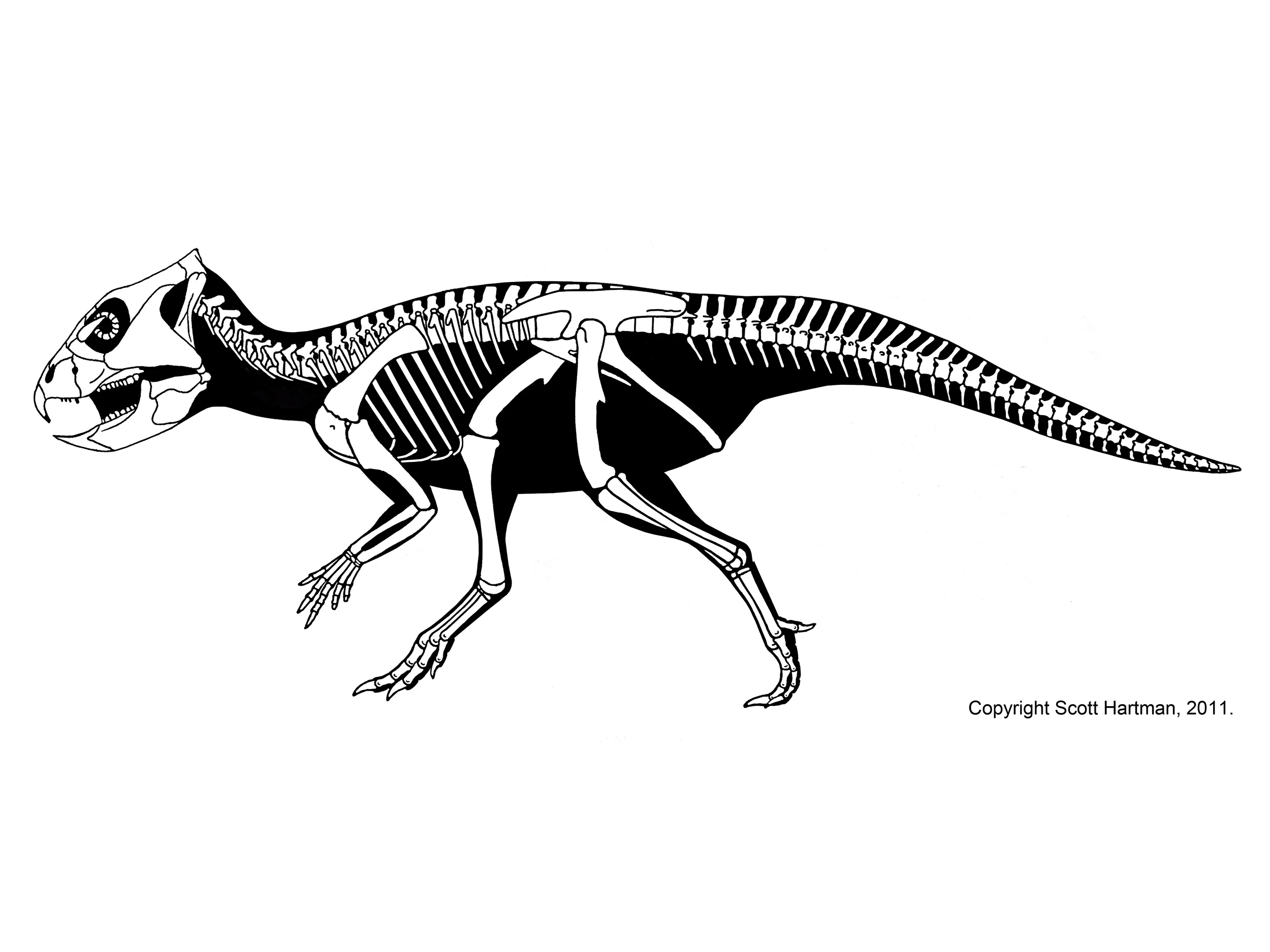 Archaeoceratops