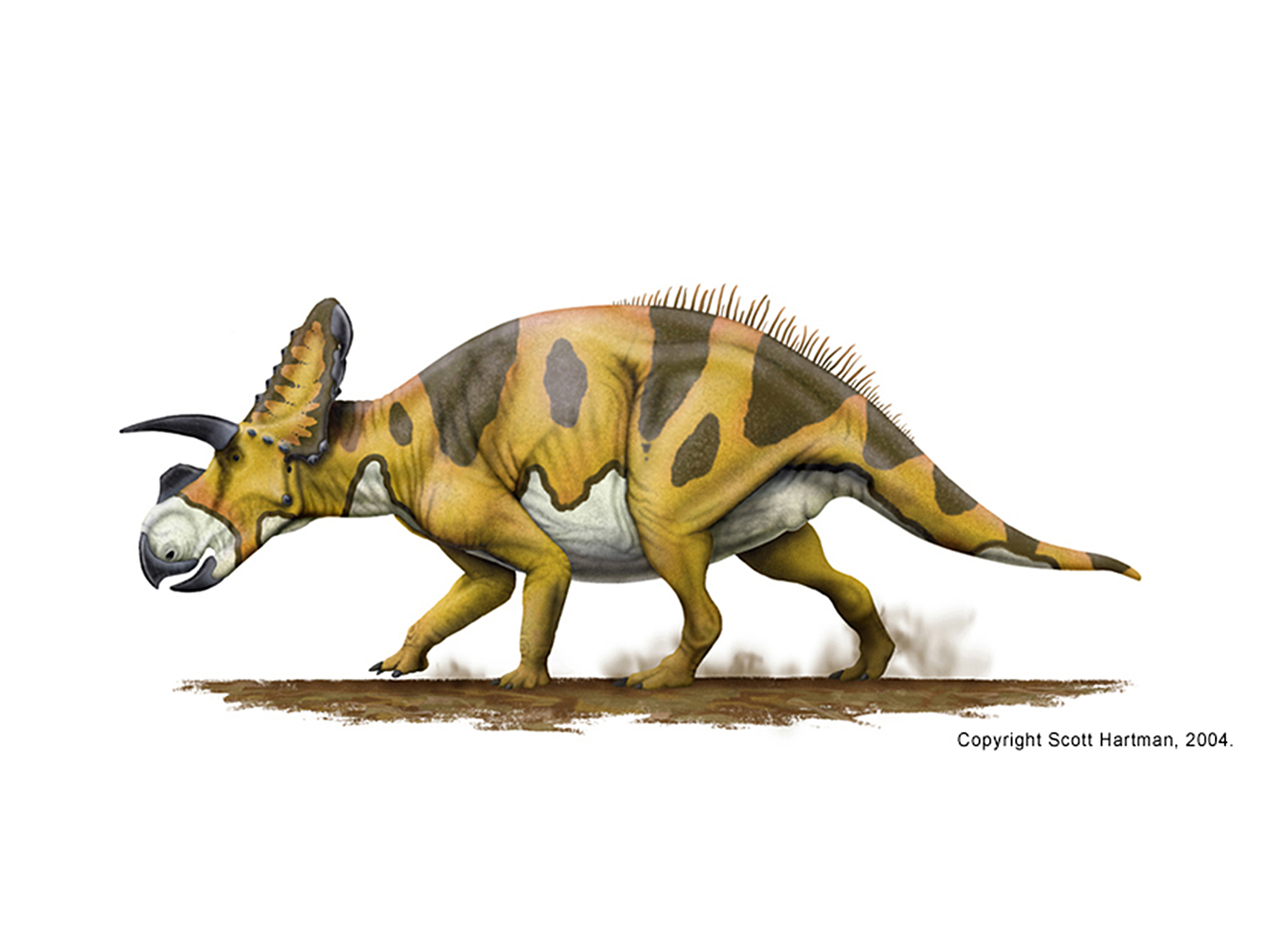 Deinocheirus - Therizinosaur or hadrosaur mimic?Dr. Scott Hartman's  Skeletal Drawing.com