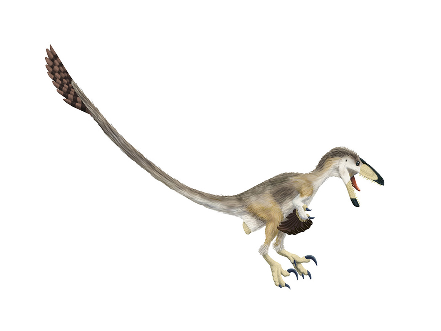 Deinonychus.jpg