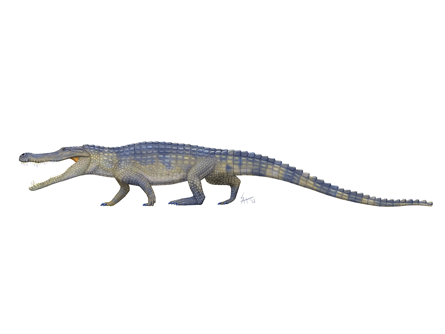 Deinosuchus.jpg