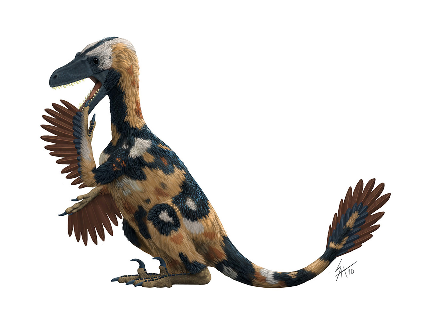 Velociraptor ABCDinos.jpg
