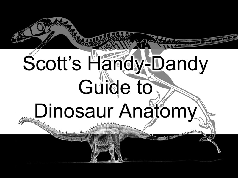 Deinocheirus - Therizinosaur or hadrosaur mimic?Dr. Scott Hartman's  Skeletal Drawing.com