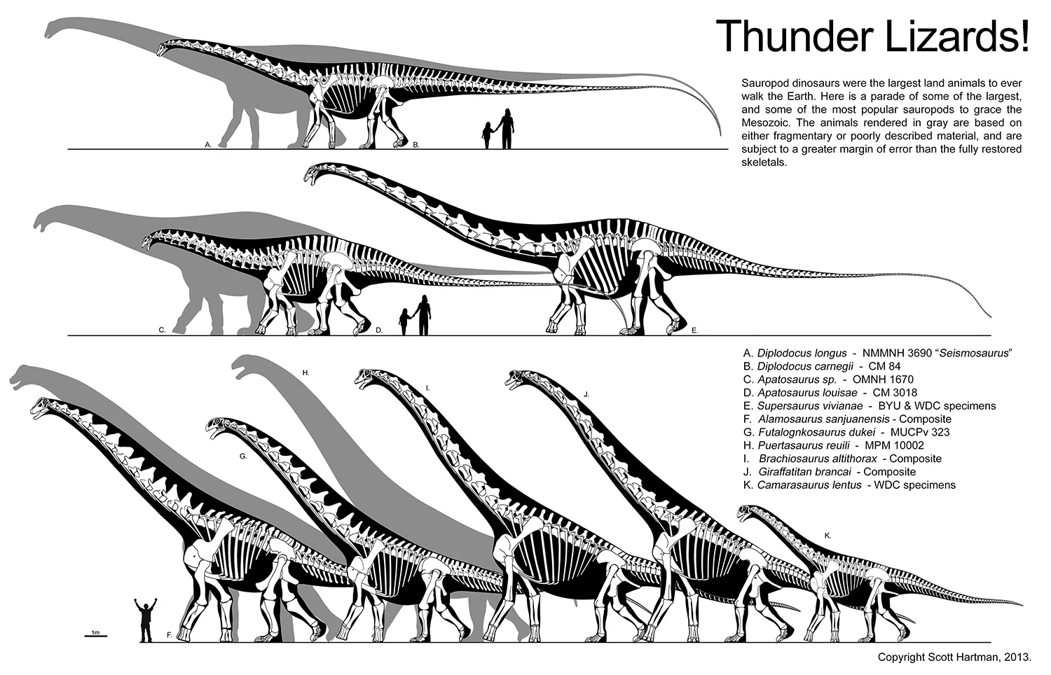 Thunder Lizards 4 blog.jpg