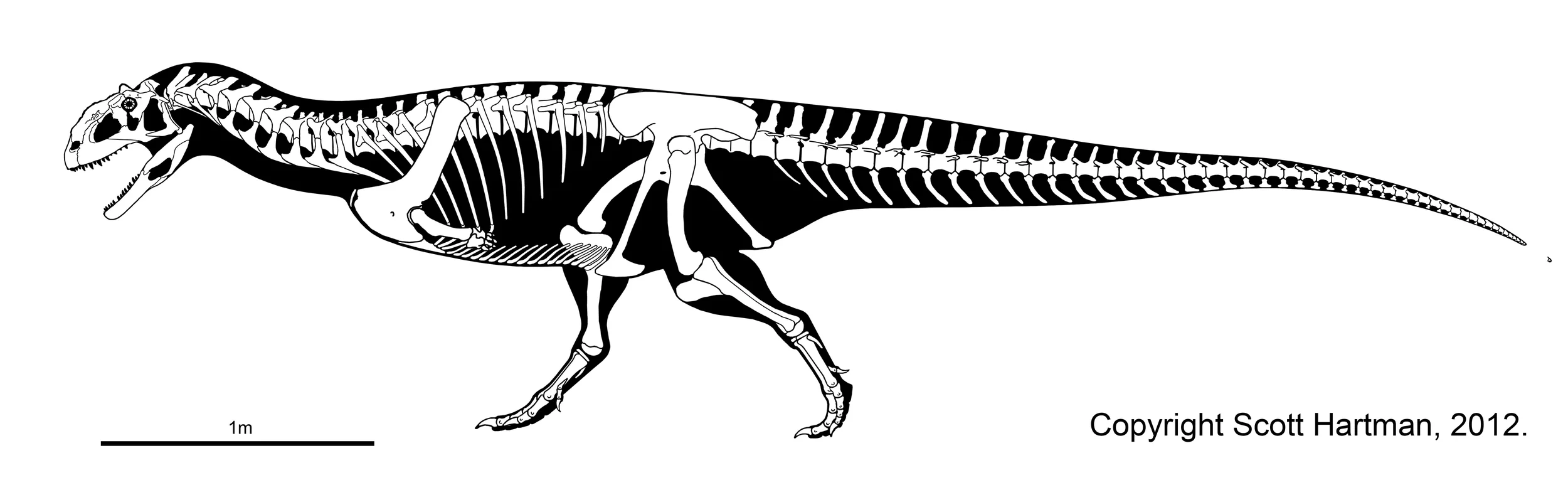 majungasaurus_updated.jpg