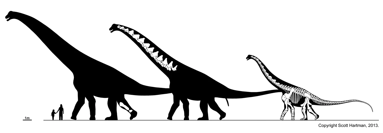 Alamosaurus on parade