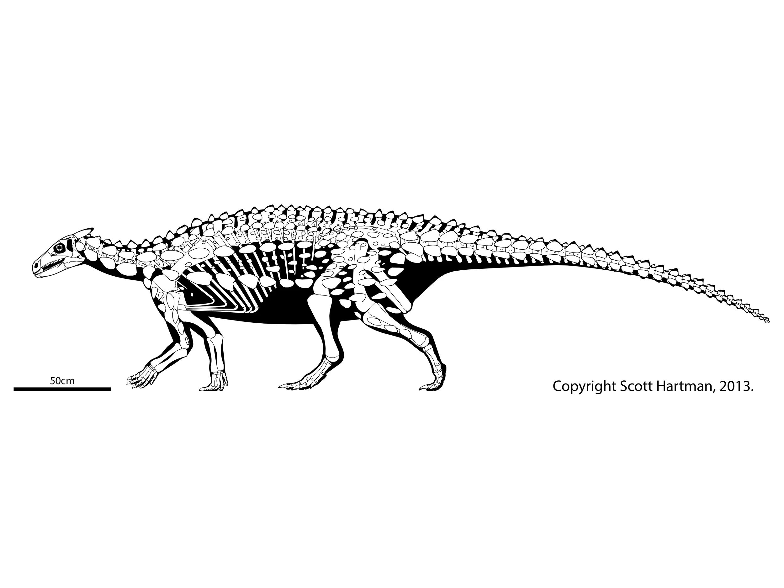 Scelidosaurus harrisonii