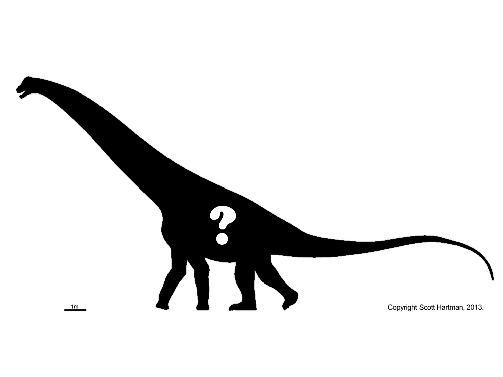 skeletal question.jpg
