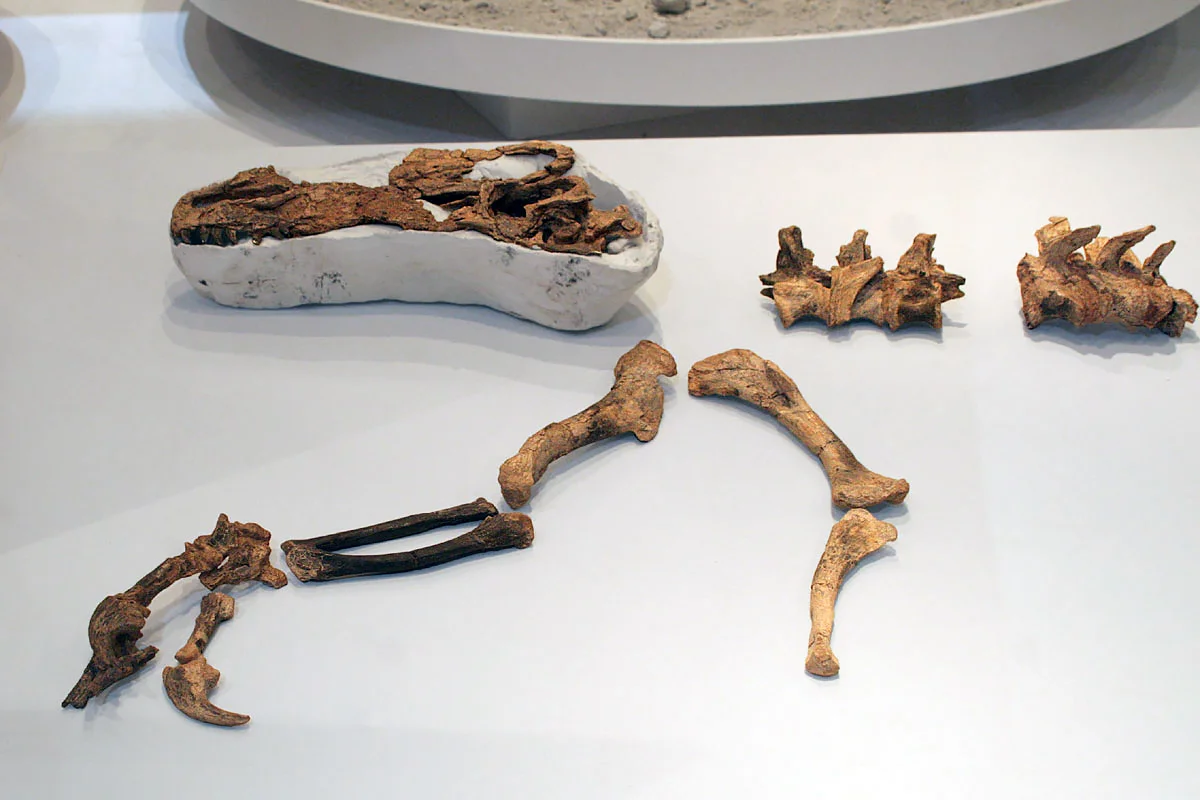 And the winner is...