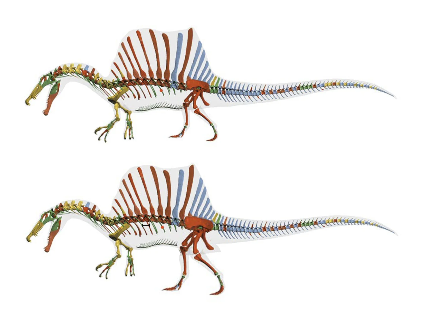 Original at the top, corrected at the bottom.