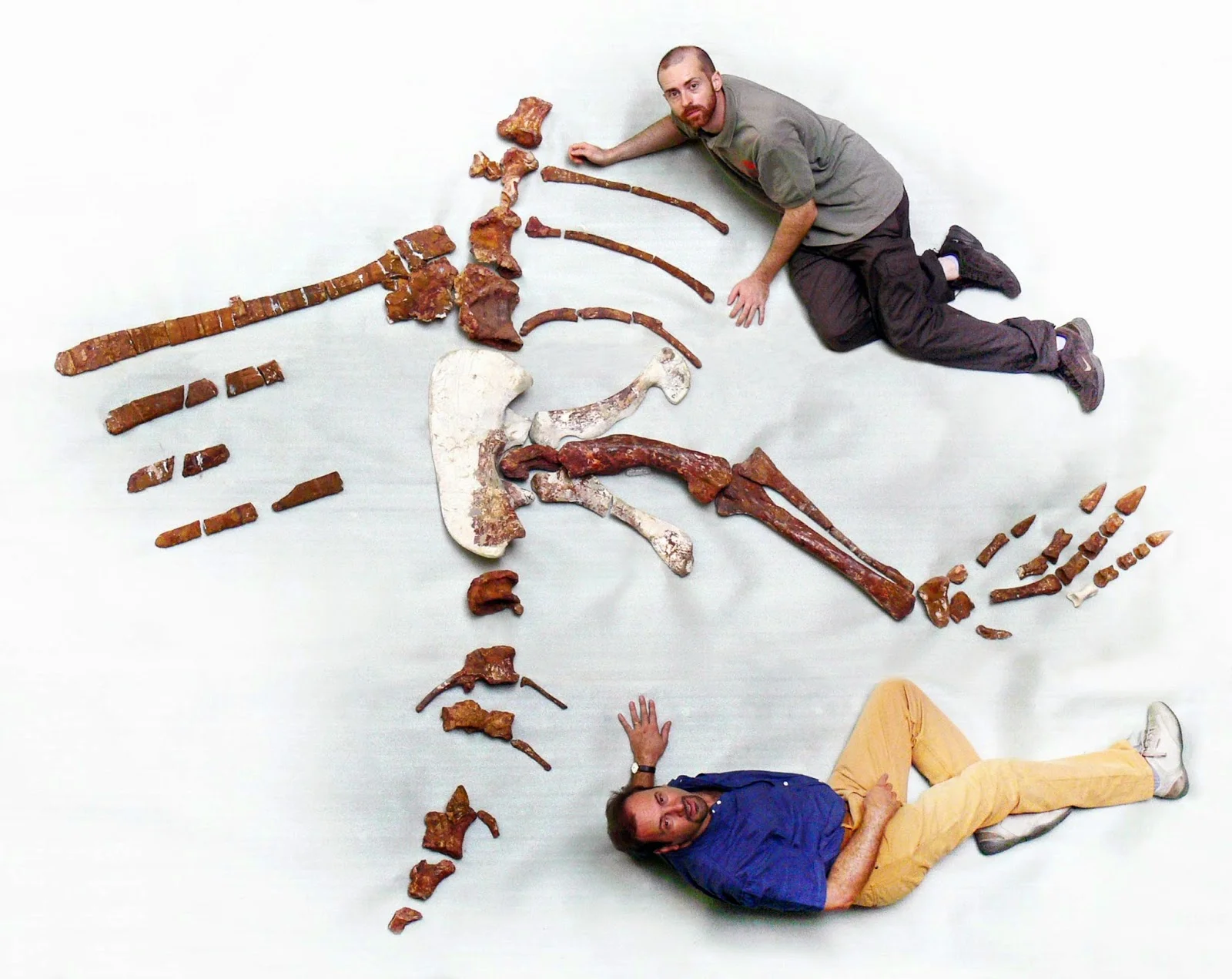 From the Theropoda Blog