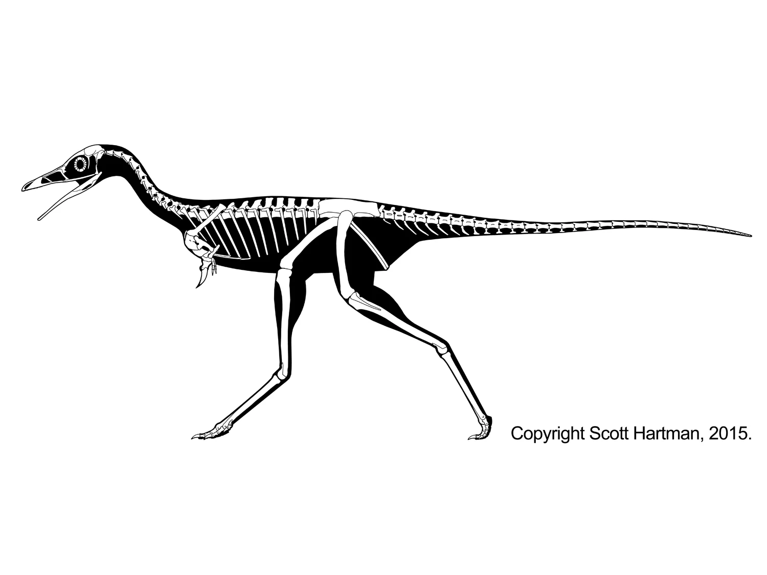 Mononykus