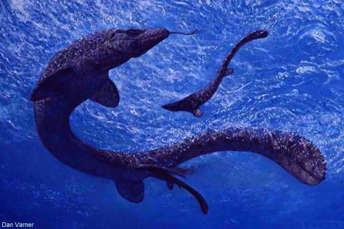 A "traditional" serpentine mosasaur, copyright Dan Varner