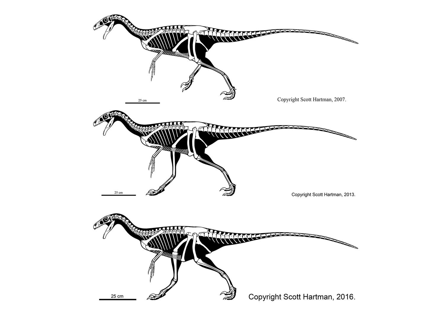 Ornitholestes historical comparison 2016 wide.jpg