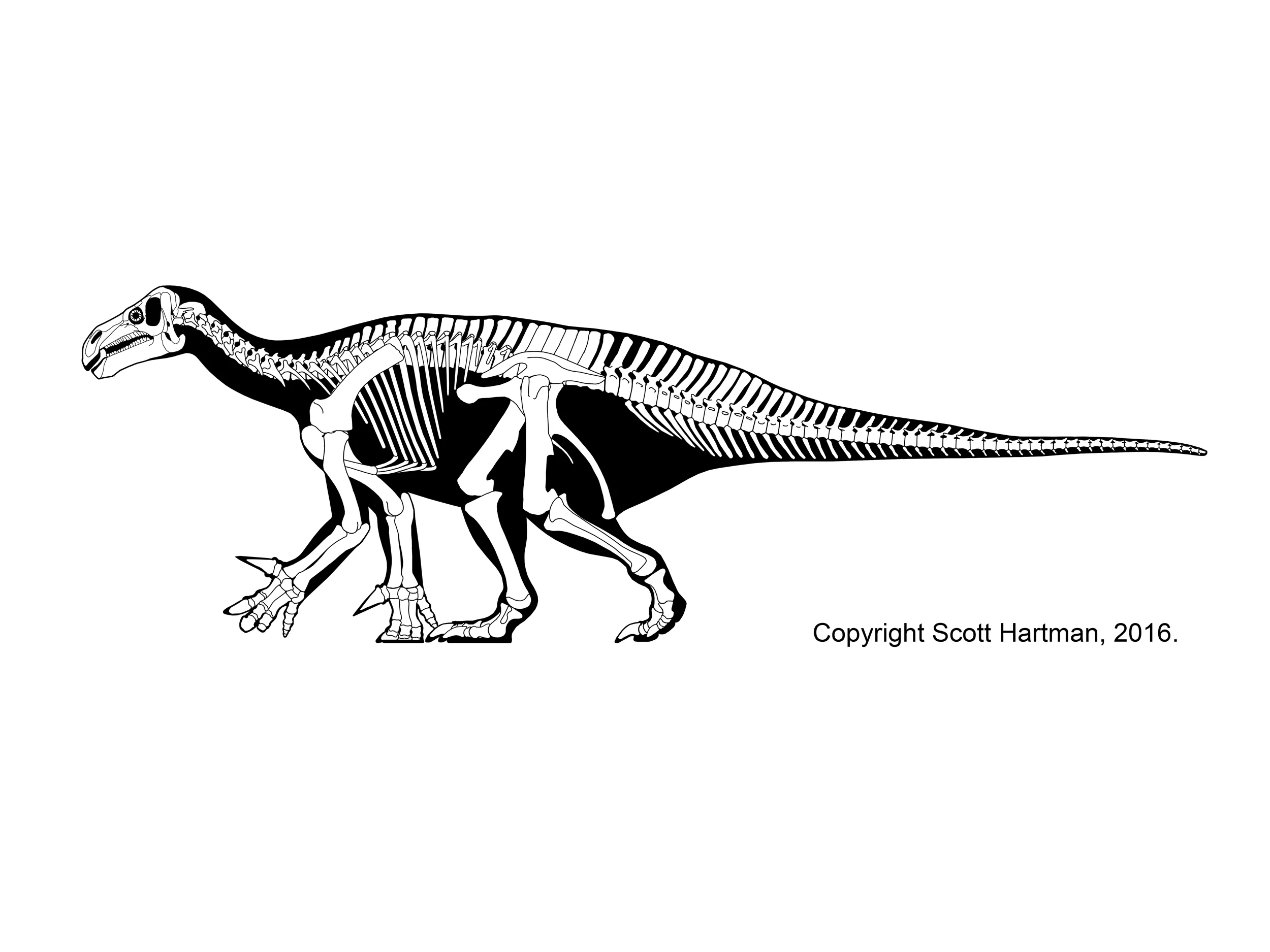Iguanodon bernissartensis