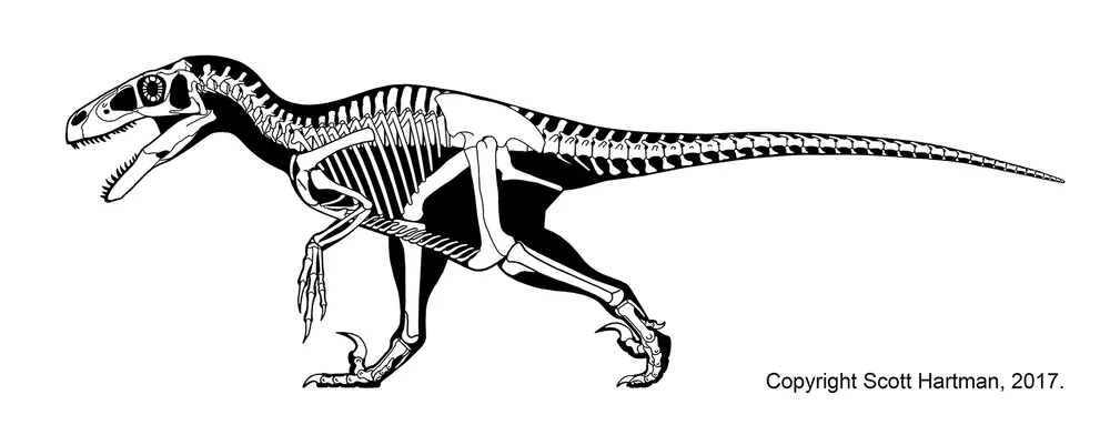 Utahraptor