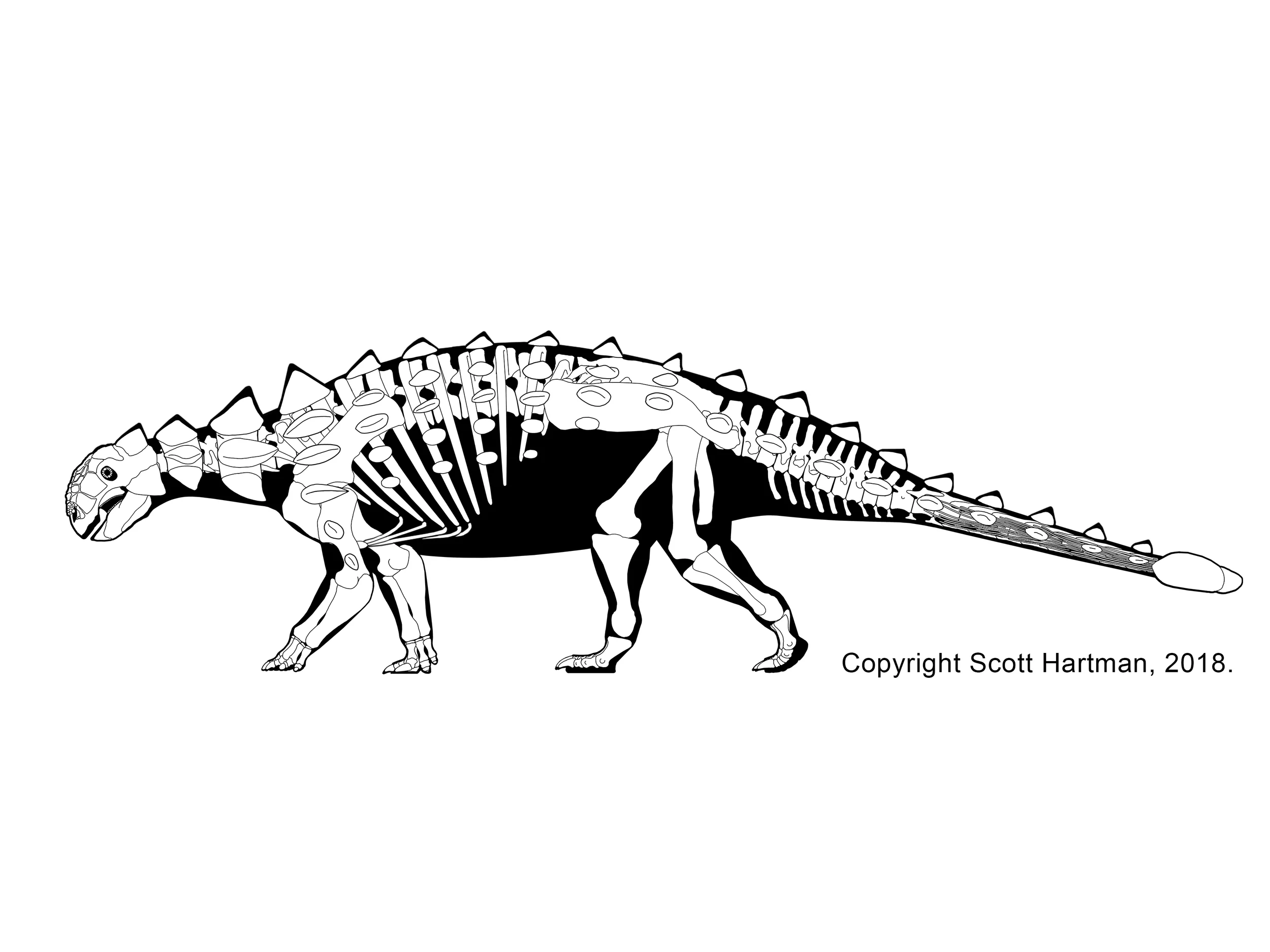Euoplocephalus tutus