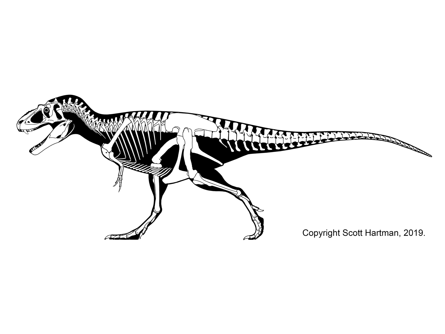 Lythronax argestes