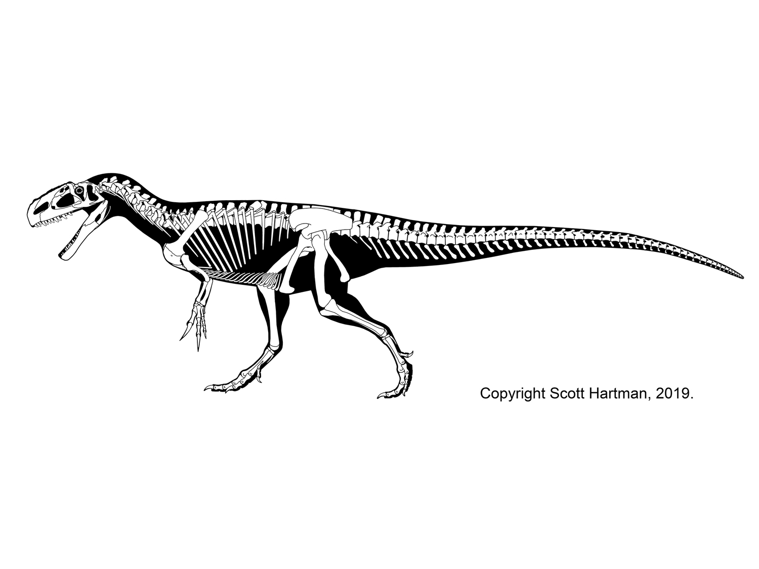 Monolophosaurus jiangi