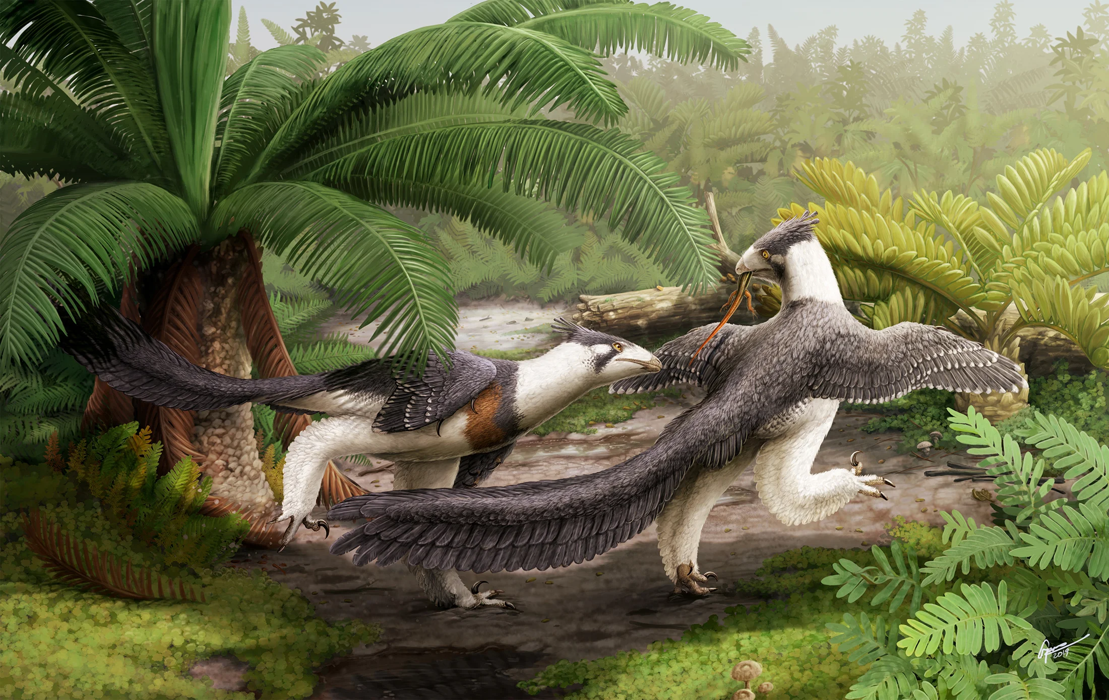 Introducing Hesperornithoides miessleri