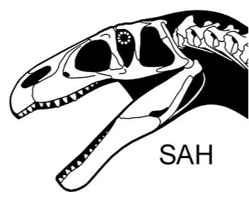 The road to Spinosaurus I: Megalosaur skulls