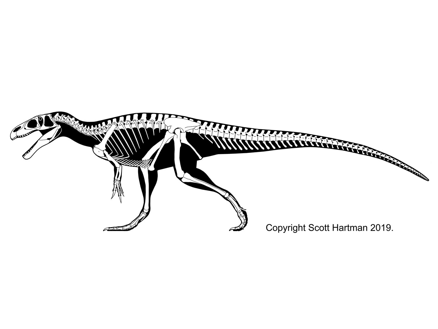 Eustreptospondylus