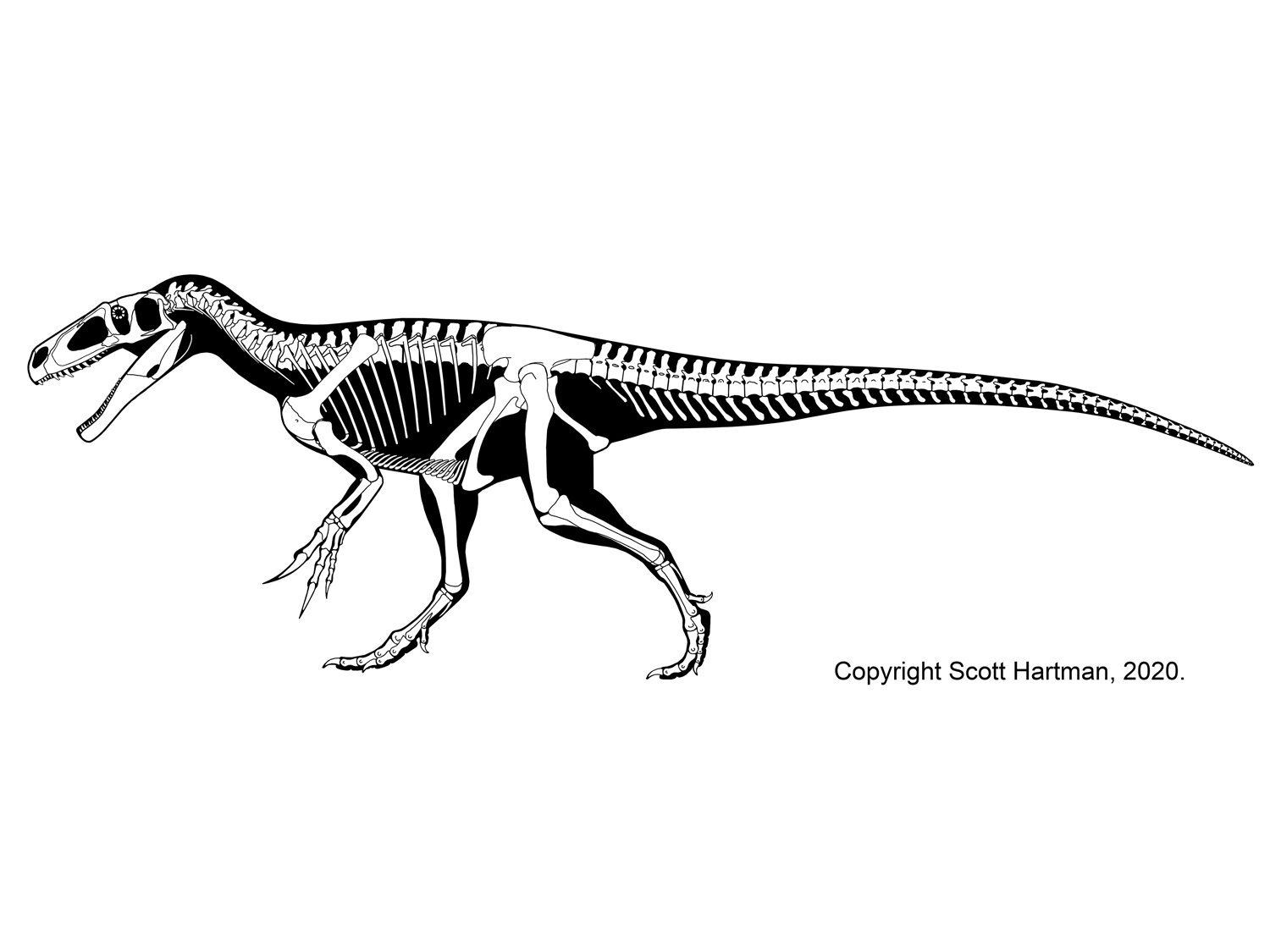 Marshosaurus bicentesimus