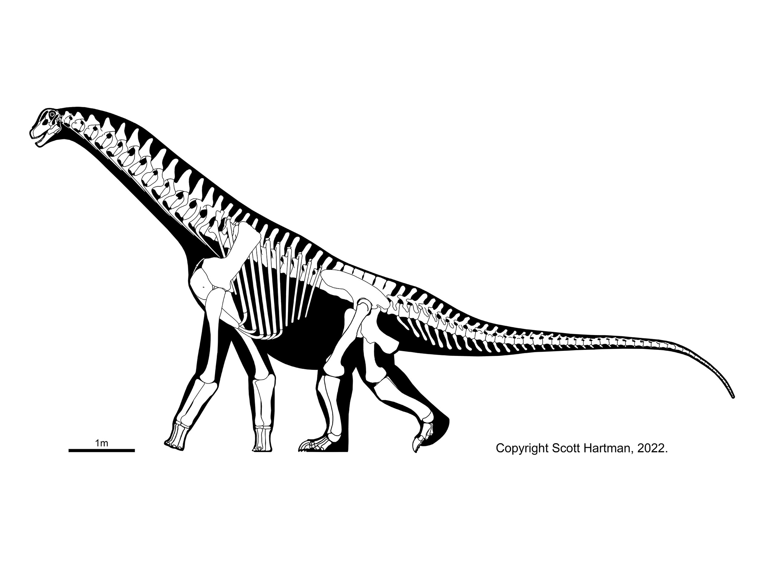 Isisaurus