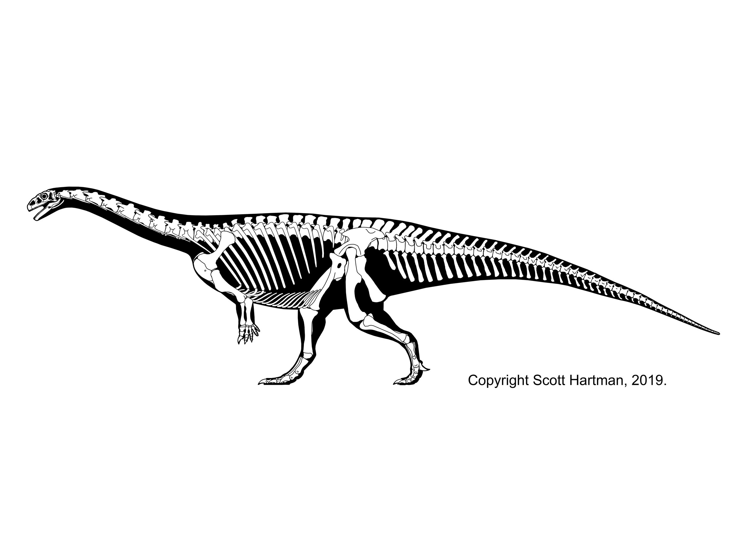 Lufengosaurus huenei