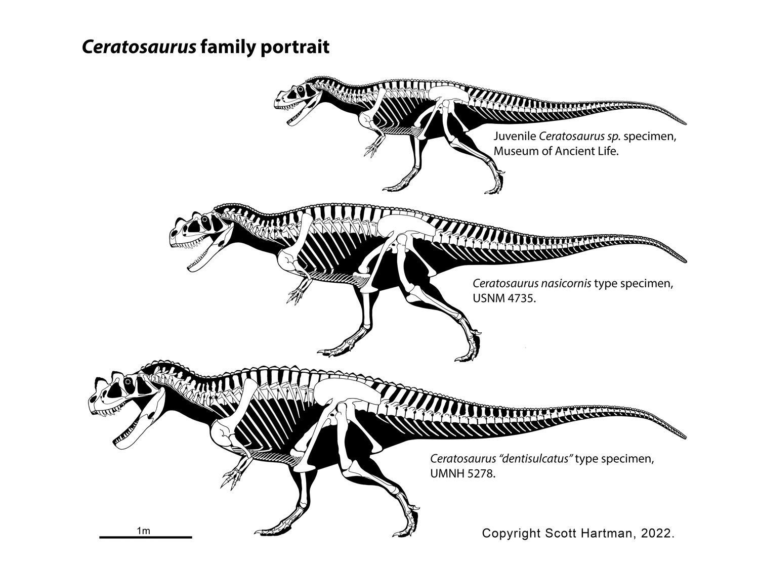 Ceratosaurus family portrait.jpg