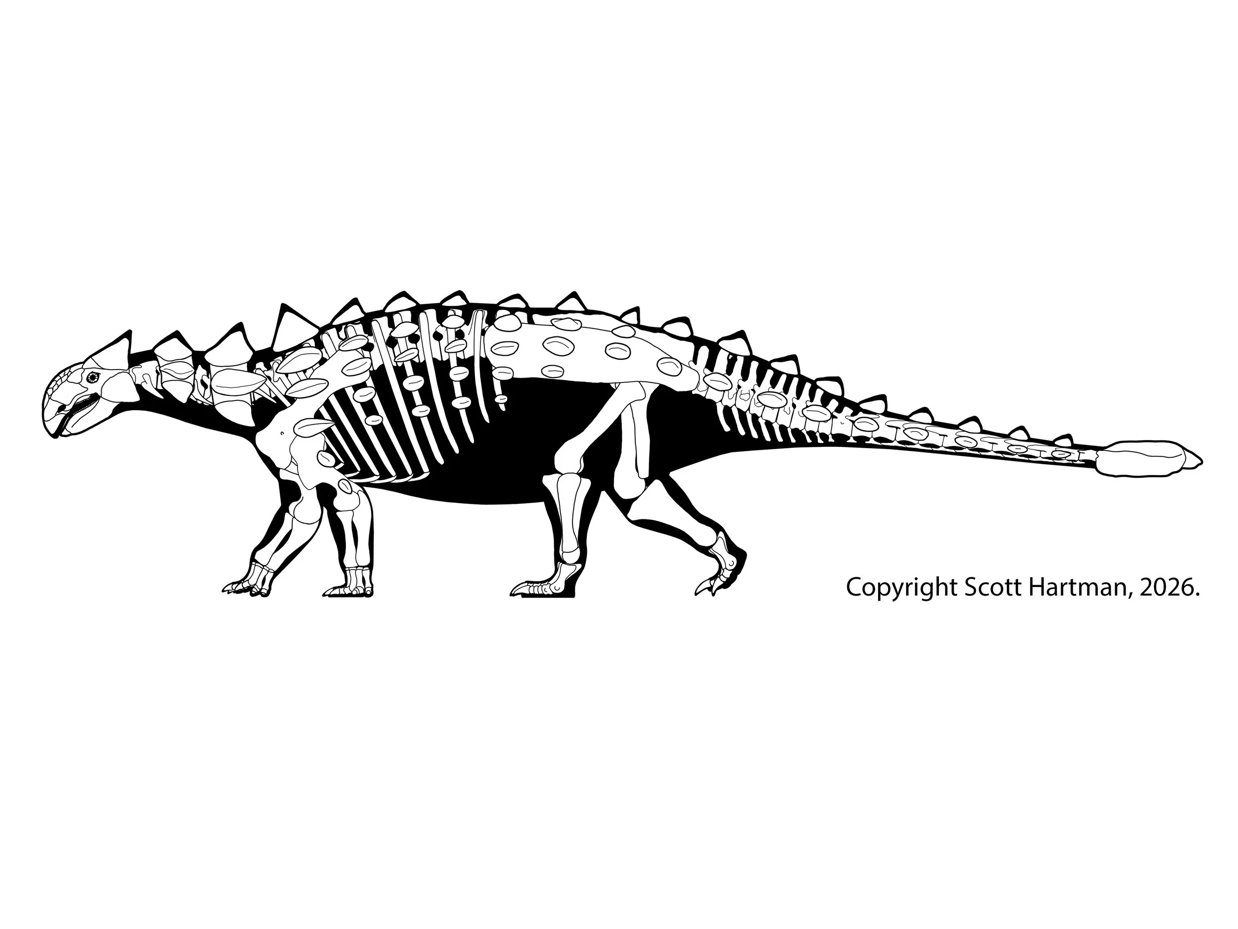 Ankylosaurus