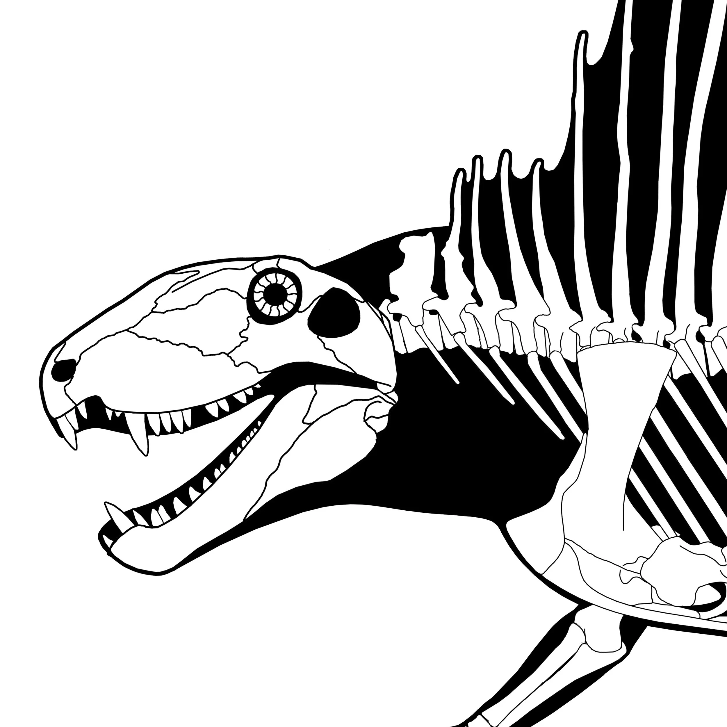 I did it wrong: Dimetrodon had a longer neck