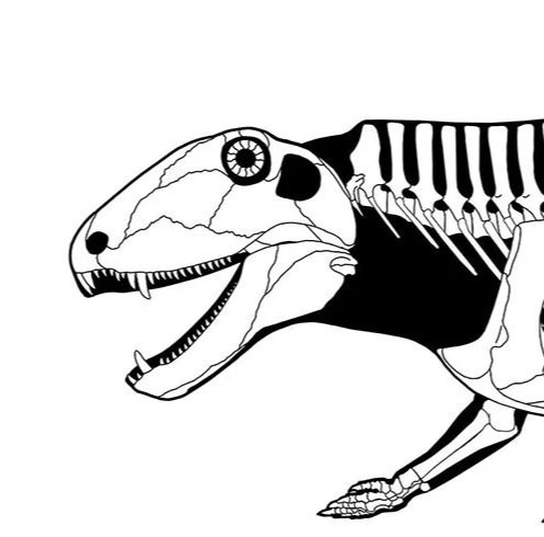 An unexpected synapsid