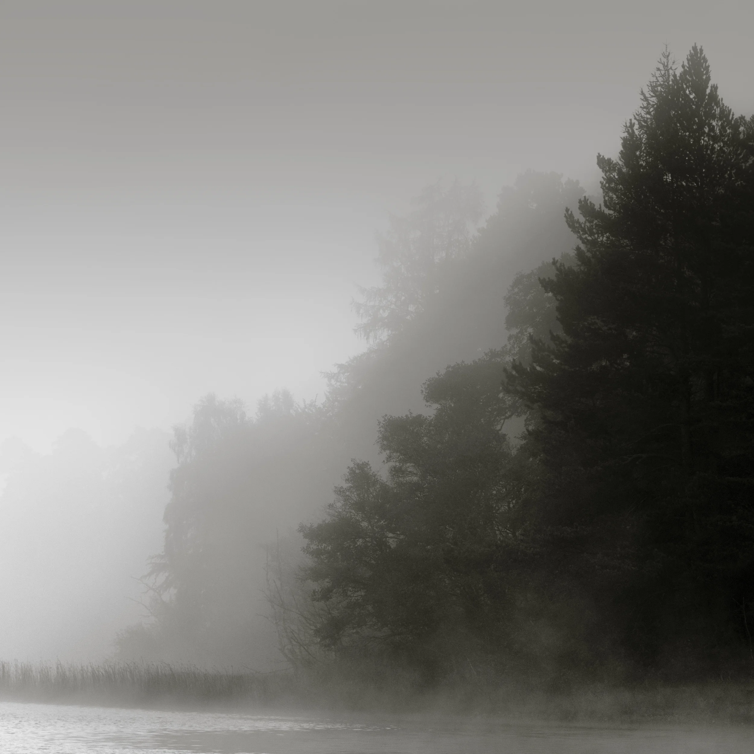 Whisper III