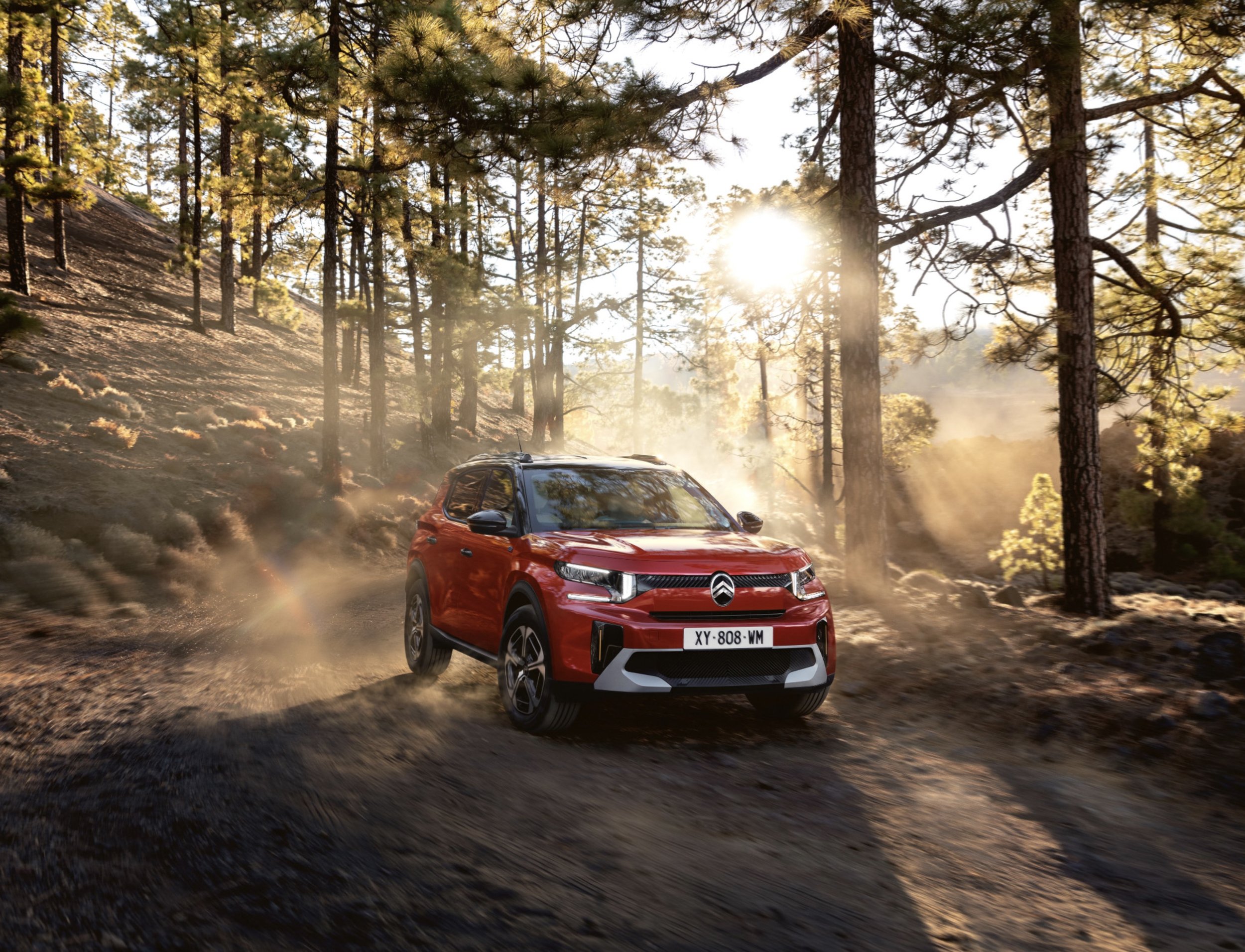 Screenshot 2026-01-13 at 20.01.28.jpg