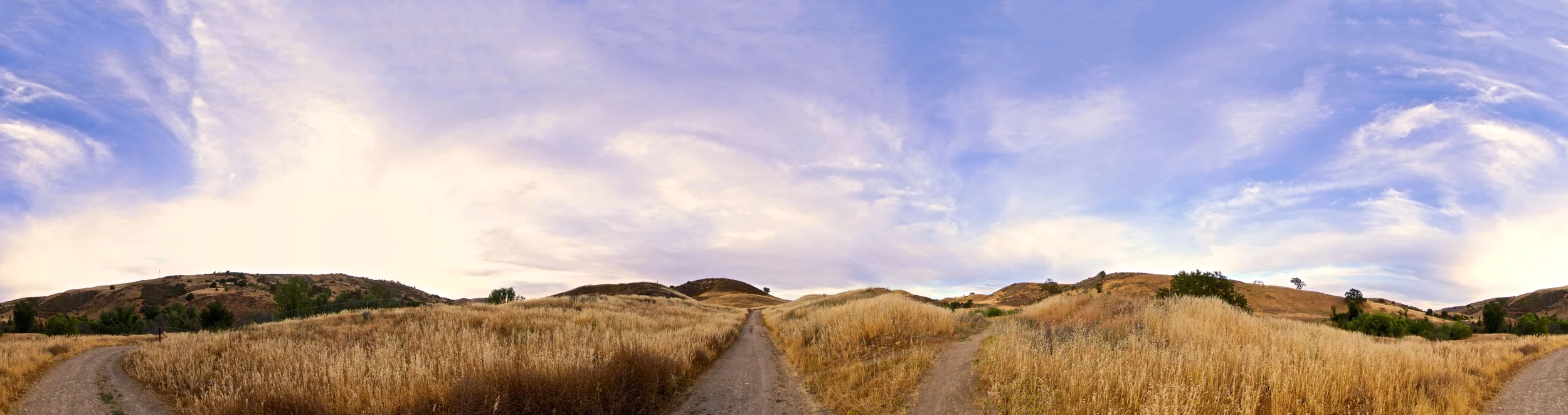 Untitled_Panorama1 (1).jpg